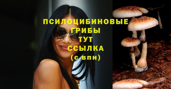 мдпв Балахна