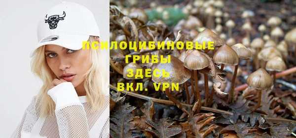 мдпв Балахна