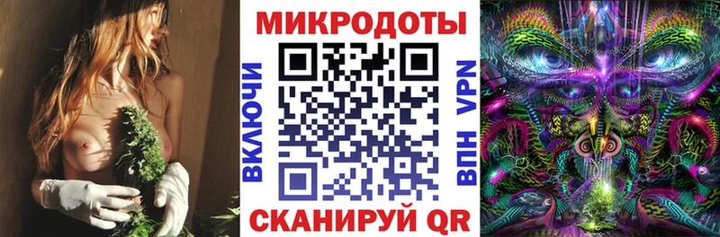 Галлюциногенные грибы прущие грибы  Белёв 